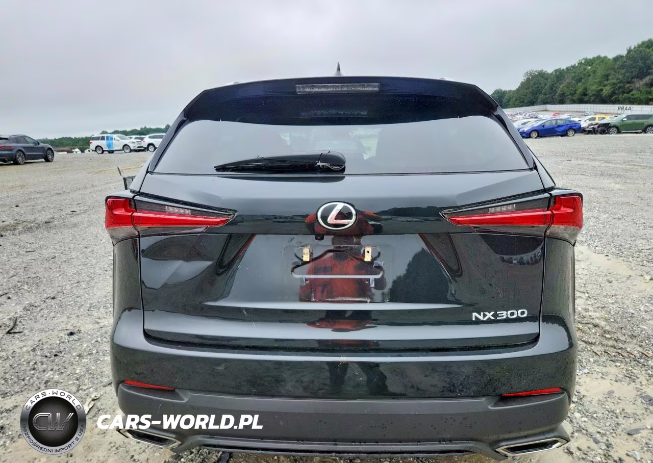 2021 Lexus Nx 300 Base VIN:JTJDARBZ8M2186490 - 6