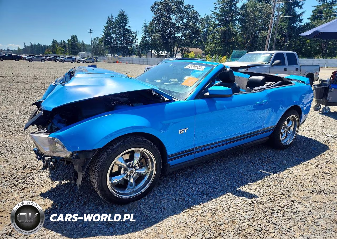 2010 Ford Mustang Gt VIN:1ZVBP8FH0A5119653 - 1