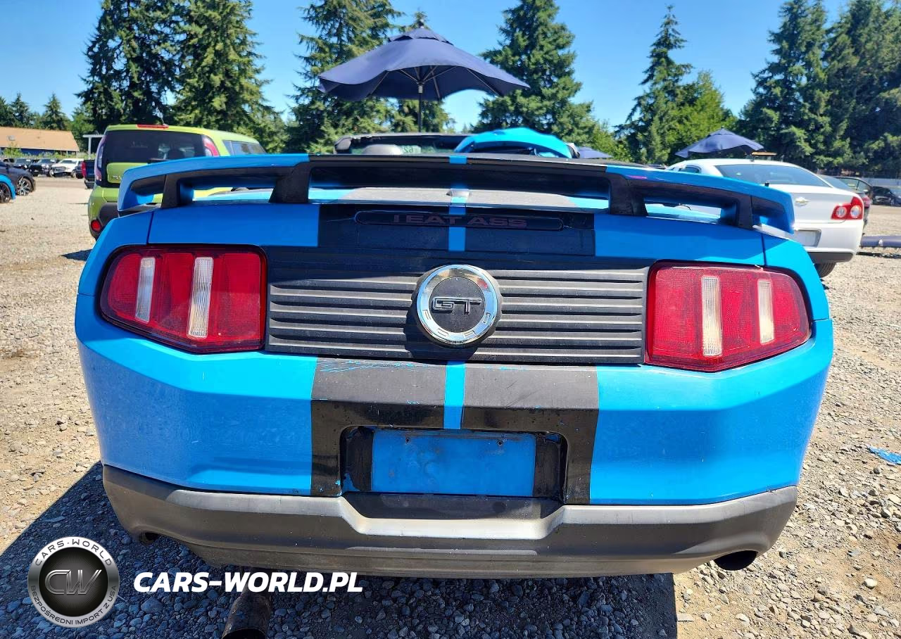 2010 Ford Mustang Gt VIN:1ZVBP8FH0A5119653 - 6