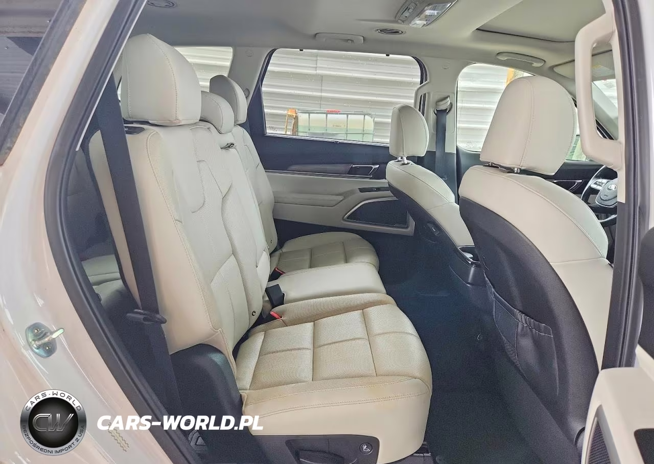 2021 Kia Telluride Ex VIN:5XYP3DHC7MG162607 - 11