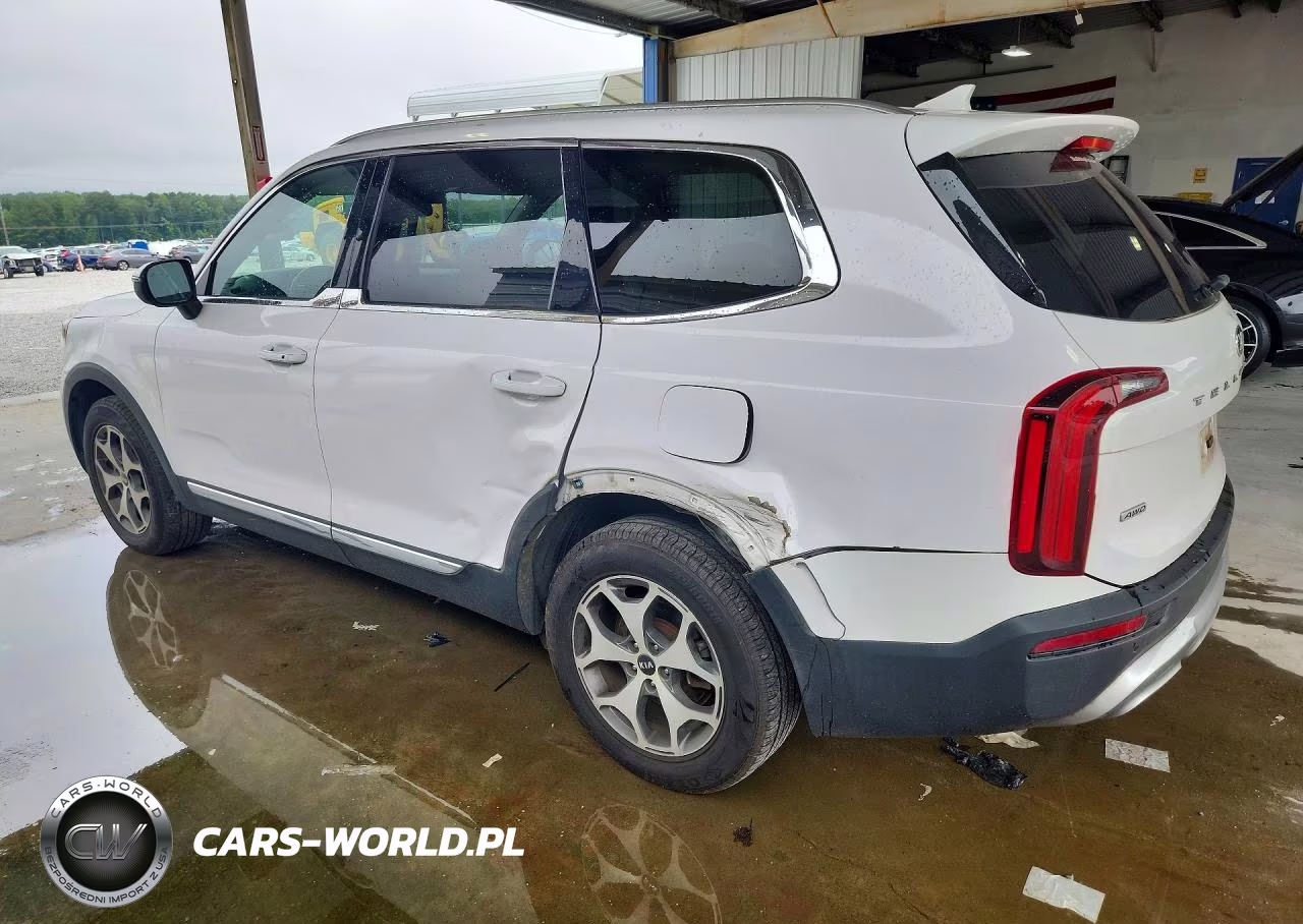 2021 Kia Telluride Ex VIN:5XYP3DHC7MG162607 - 2