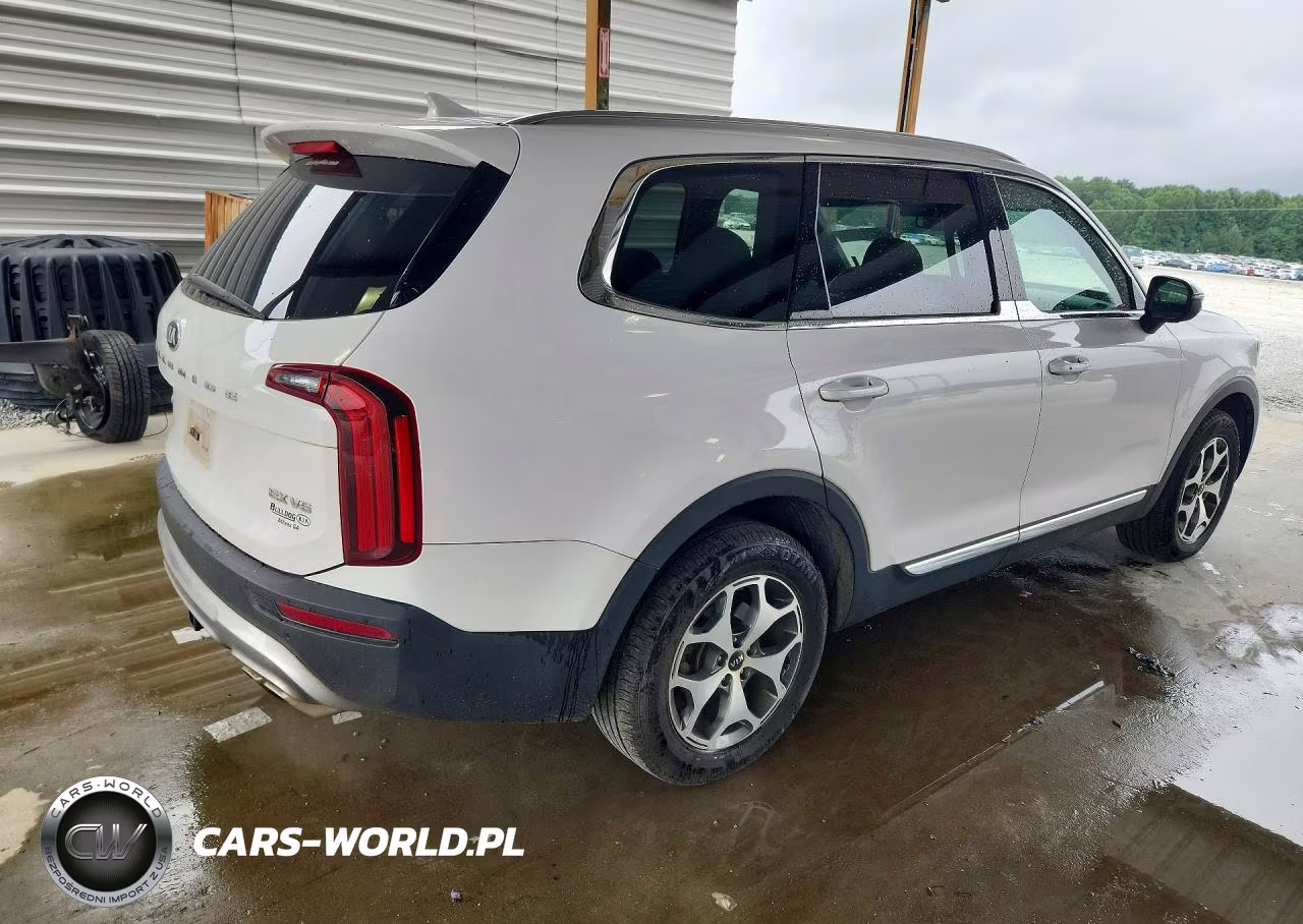 2021 Kia Telluride Ex VIN:5XYP3DHC7MG162607 - 3