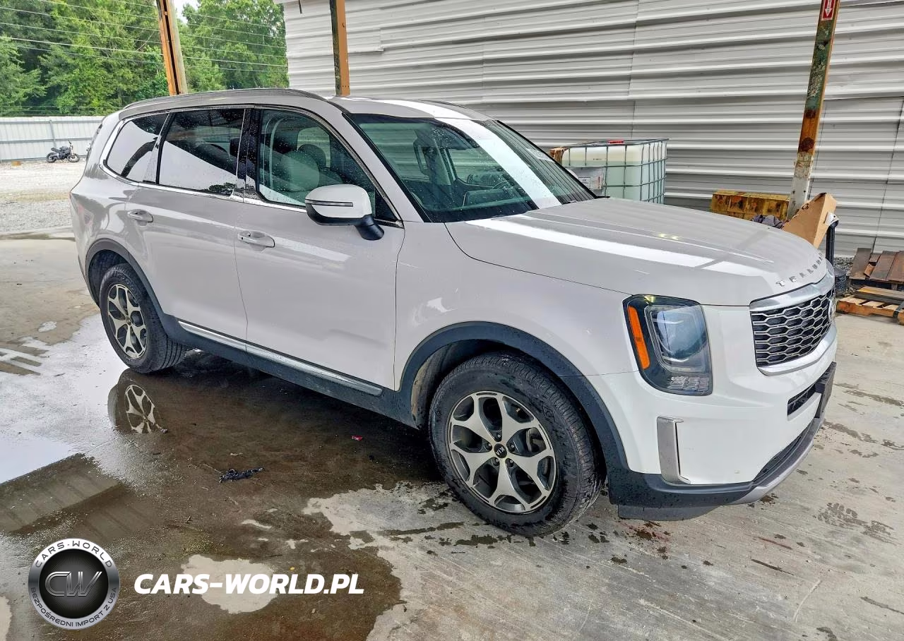 2021 Kia Telluride Ex VIN:5XYP3DHC7MG162607 - 4