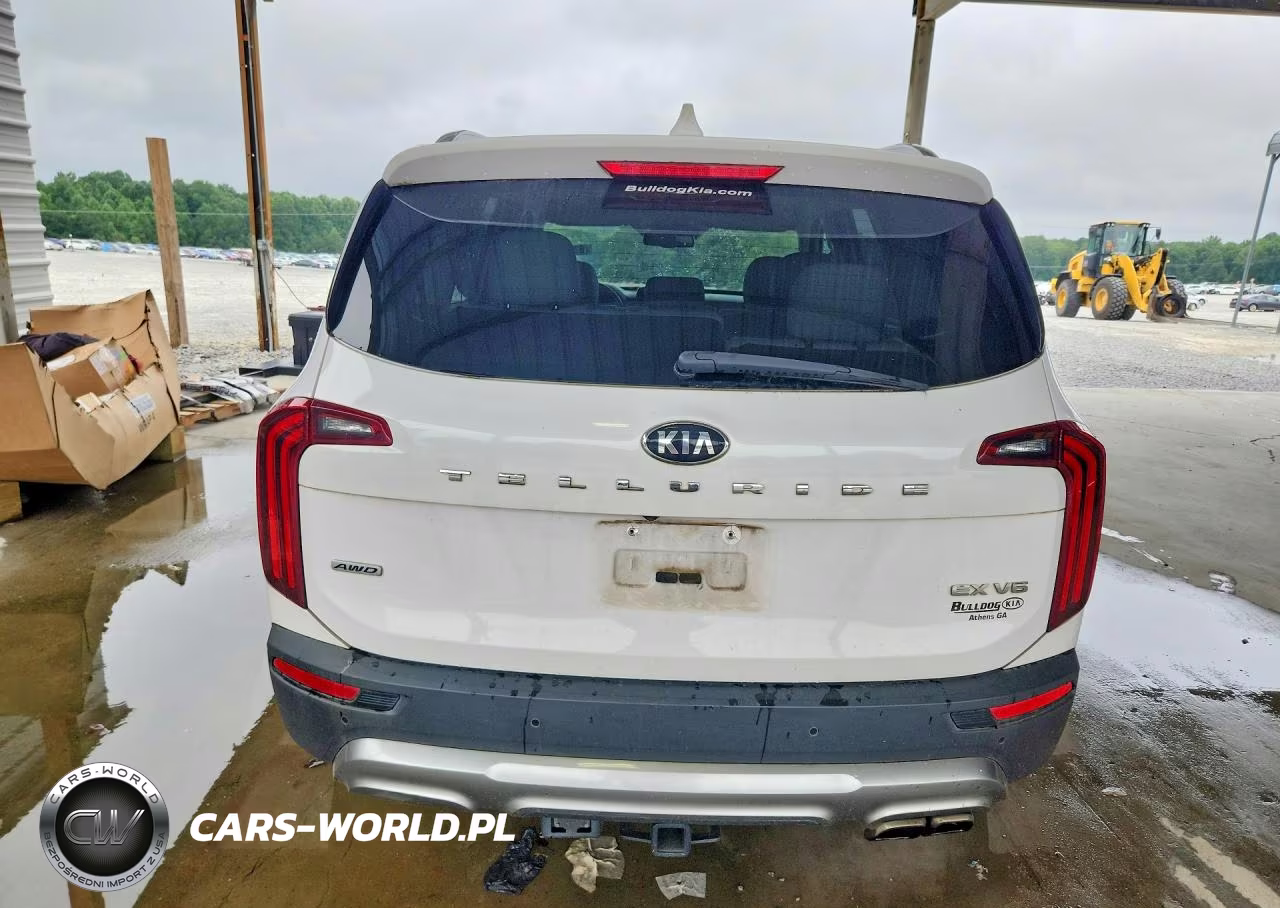 2021 Kia Telluride Ex VIN:5XYP3DHC7MG162607 - 6