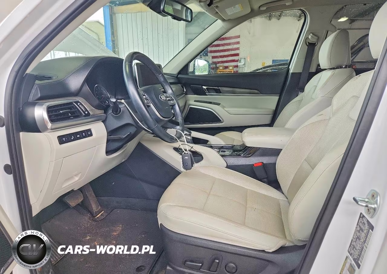 2021 Kia Telluride Ex VIN:5XYP3DHC7MG162607 - 7