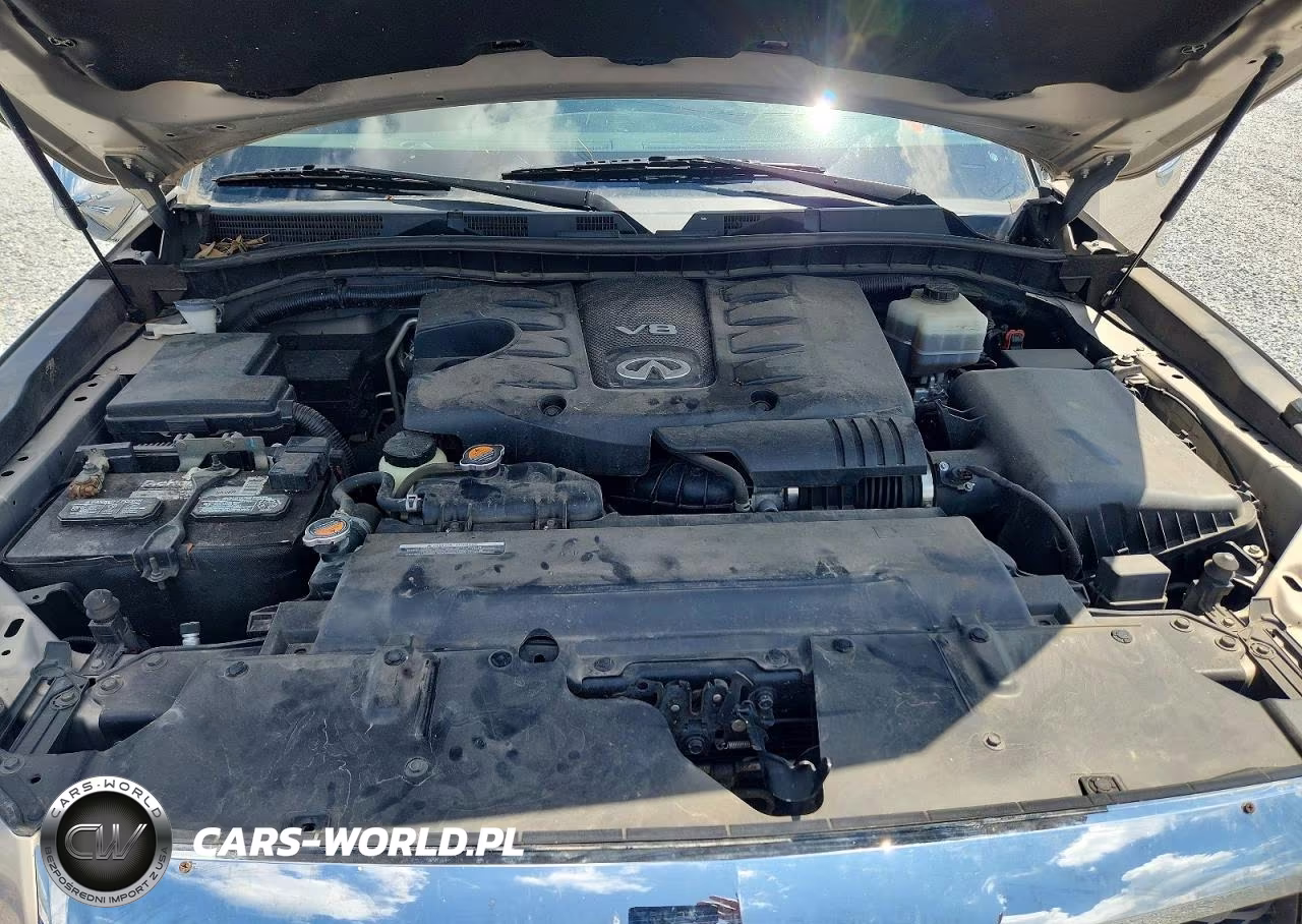 2019 Infiniti Qx80 Luxe VIN:JN8AZ2NF2K9688119 - 12