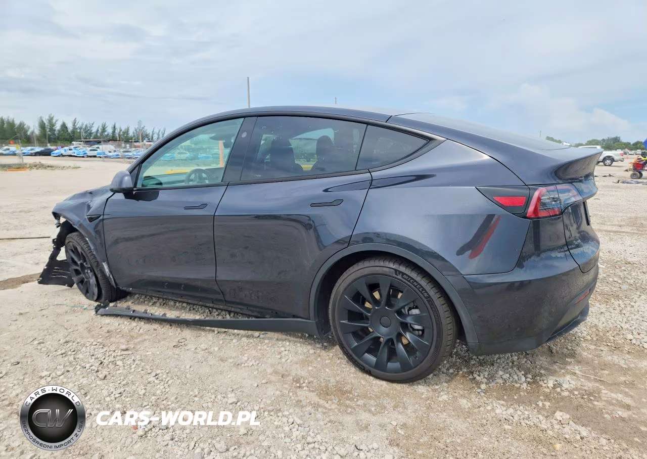 2024 Tesla Model Y VIN:7SAYGDED9RF056098 - 2