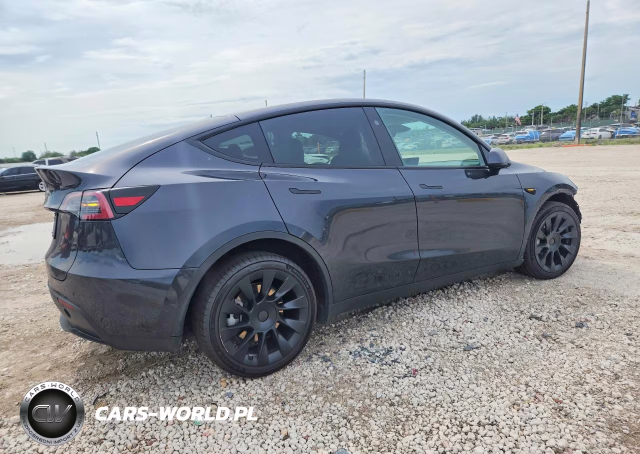 2024 Tesla Model Y VIN:7SAYGDED9RF056098 - 3