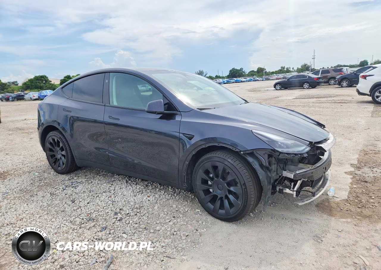 2024 Tesla Model Y VIN:7SAYGDED9RF056098 - 4