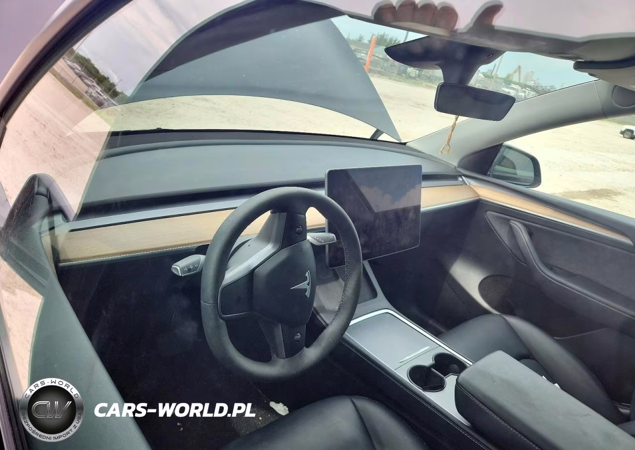 2024 Tesla Model Y VIN:7SAYGDED9RF056098 - 9