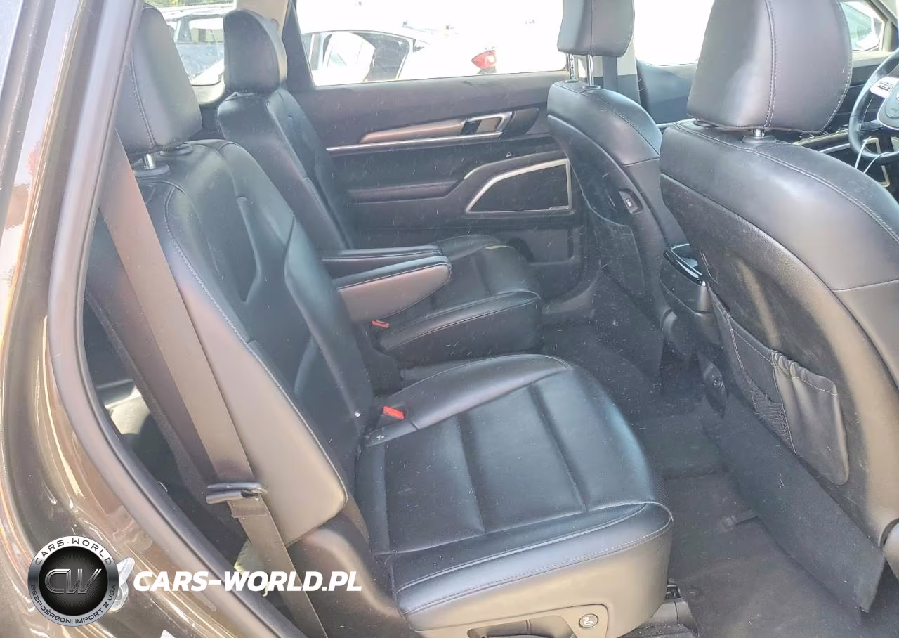 2020 Kia Telluride S VIN:5XYP6DHC6LG025678 - 11