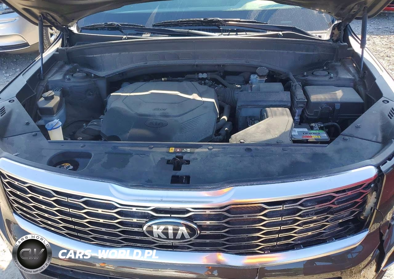 2020 Kia Telluride S VIN:5XYP6DHC6LG025678 - 12