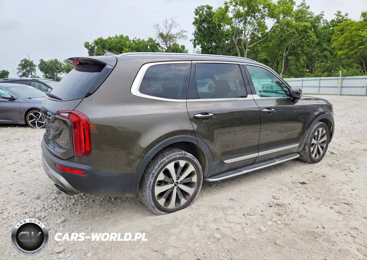 2020 Kia Telluride S VIN:5XYP6DHC6LG025678 - 3