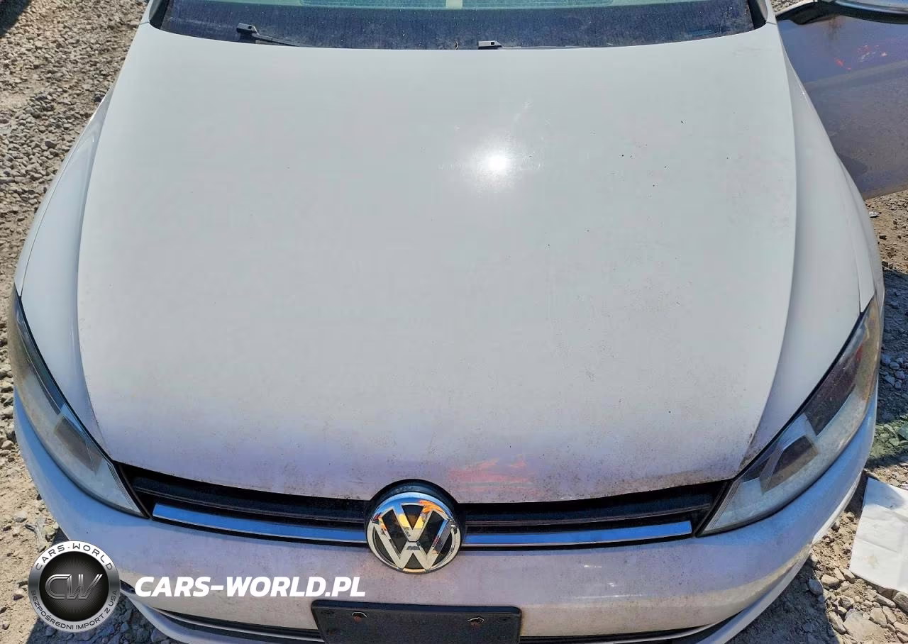 2016 Volkswagen Golf Sportwagen S VIN:3VWC17AU5GM505847 - 11
