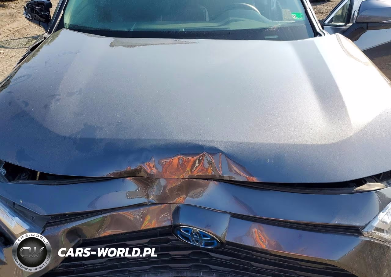 2024 Toyota Rav4 Hybrid Xle VIN:4T3RWRFVXRU139204 - 12