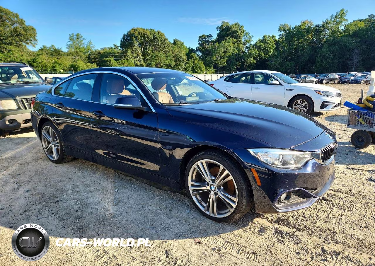 2017 BMW 430Xi Gran Coupe VIN:WBA4F9C38HG812897 - 4