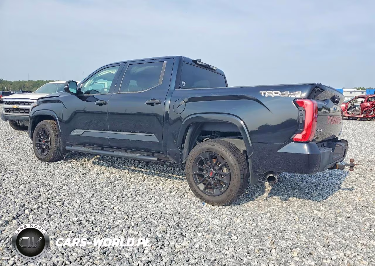 2023 Toyota Tundra 1794 Edition Hv VIN:5TFMC5DB5PX017301 - 2