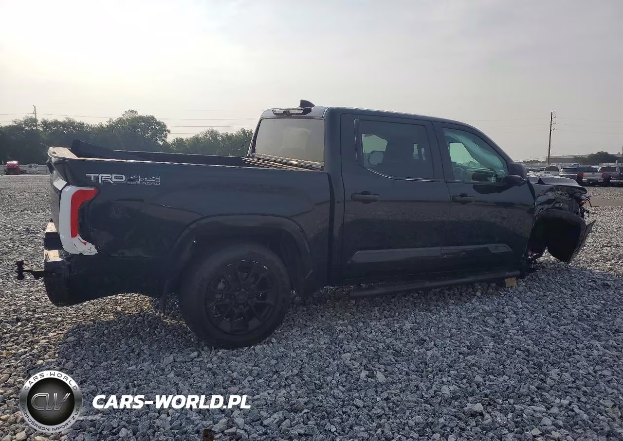 2023 Toyota Tundra 1794 Edition Hv VIN:5TFMC5DB5PX017301 - 3