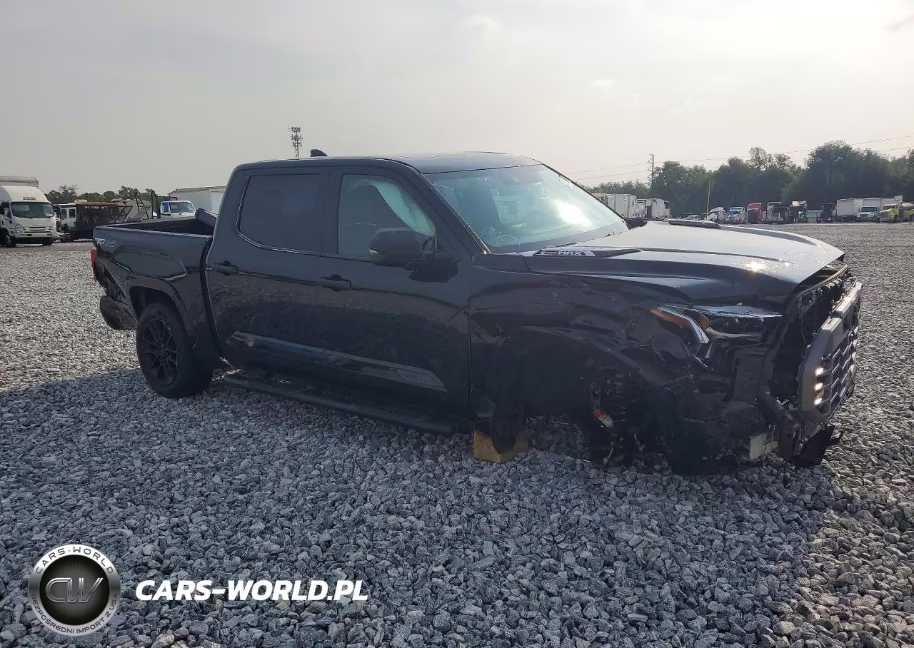 2023 Toyota Tundra 1794 Edition Hv VIN:5TFMC5DB5PX017301 - 4