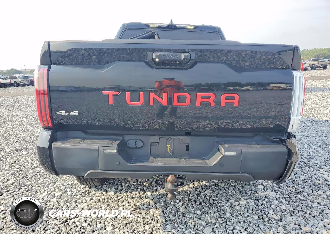 2023 Toyota Tundra 1794 Edition Hv VIN:5TFMC5DB5PX017301 - 6