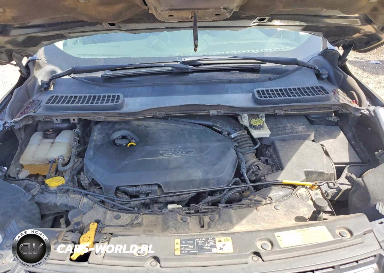 2014 Ford Escape Se VIN:1FMCU0GXXEUA53854 - 11