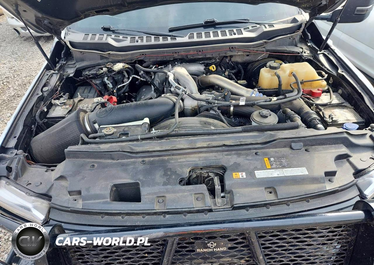 2025 Ford F250 Super Duty VIN:1FT8W2BT5SEC55396 - 11