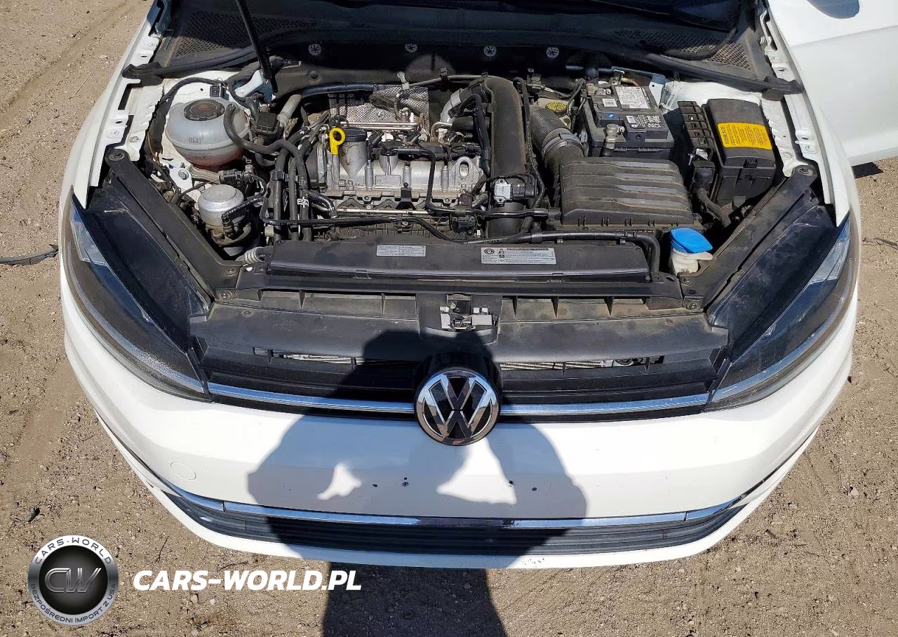 2019 Volkswagen Golf S VIN:3VWG57AU5KM021157 - 11