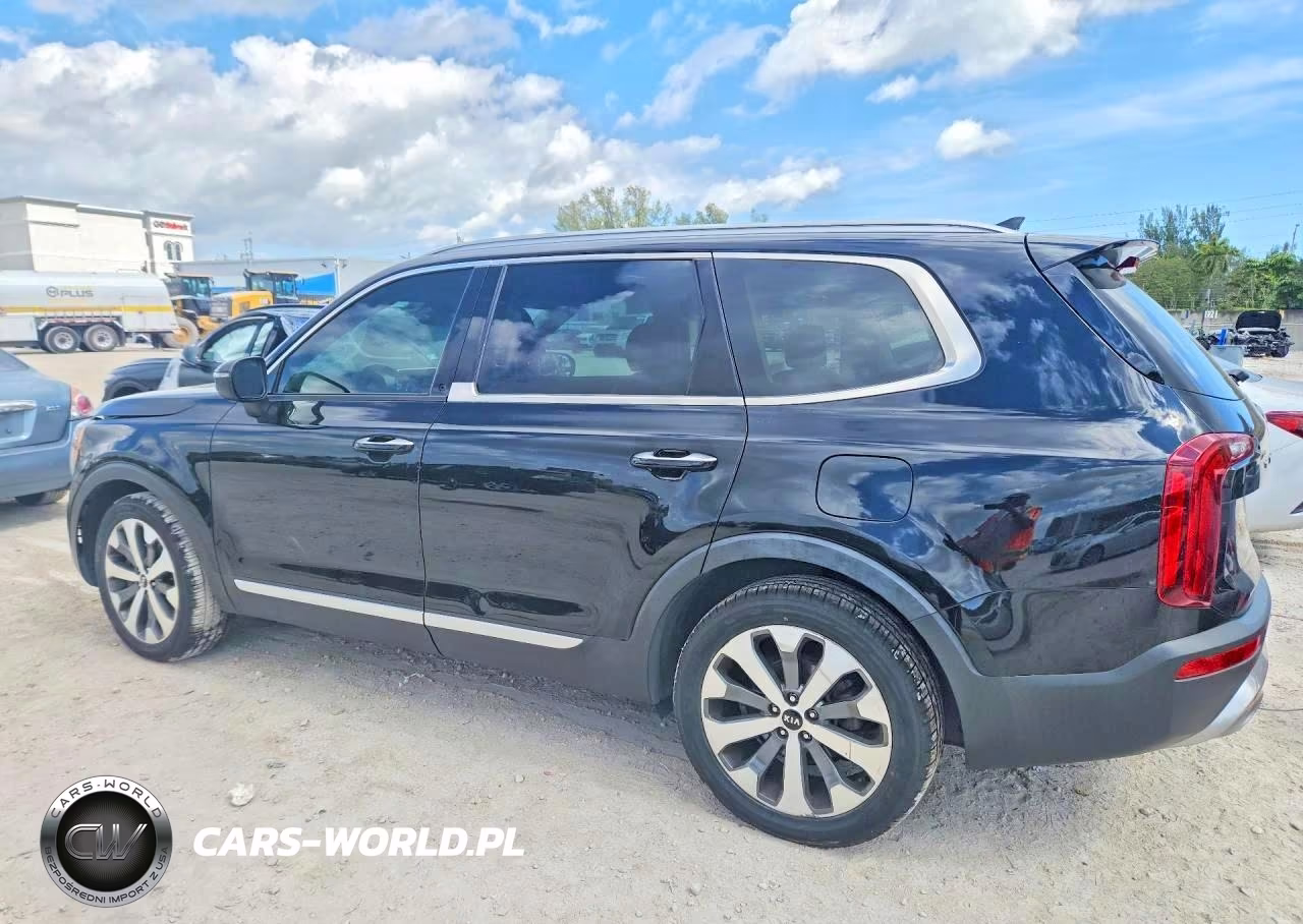 2020 Kia Telluride S VIN:5XYP64HC1LG010442 - 2