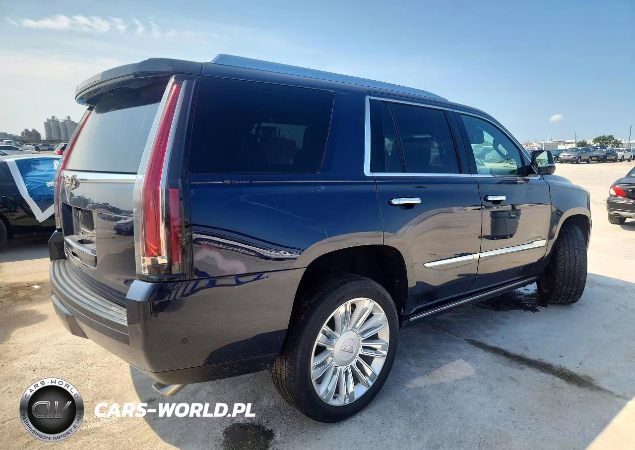 2018 Cadillac Escalade Platinum VIN:1GYS4DKJ7JR319283 - 3