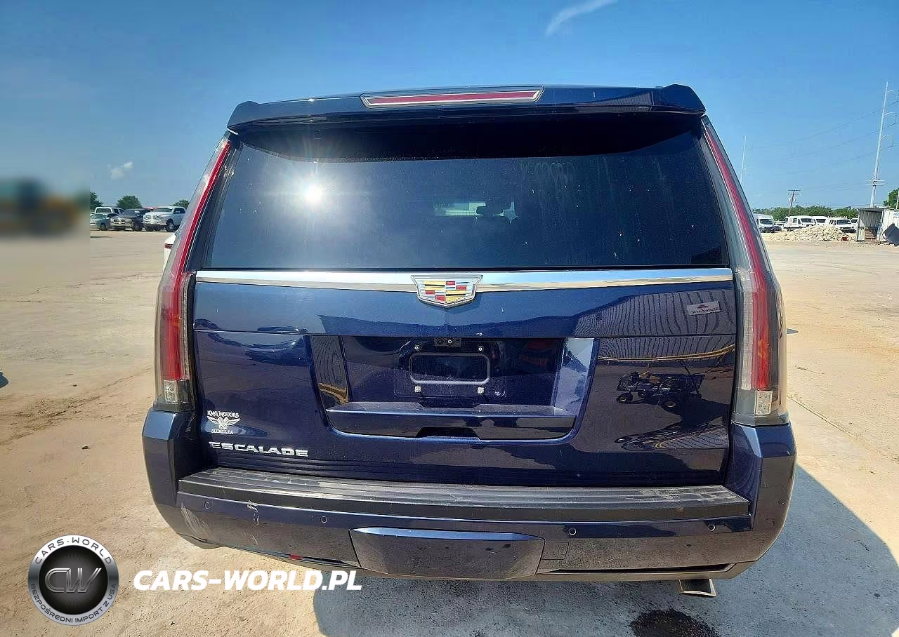 2018 Cadillac Escalade Platinum VIN:1GYS4DKJ7JR319283 - 6