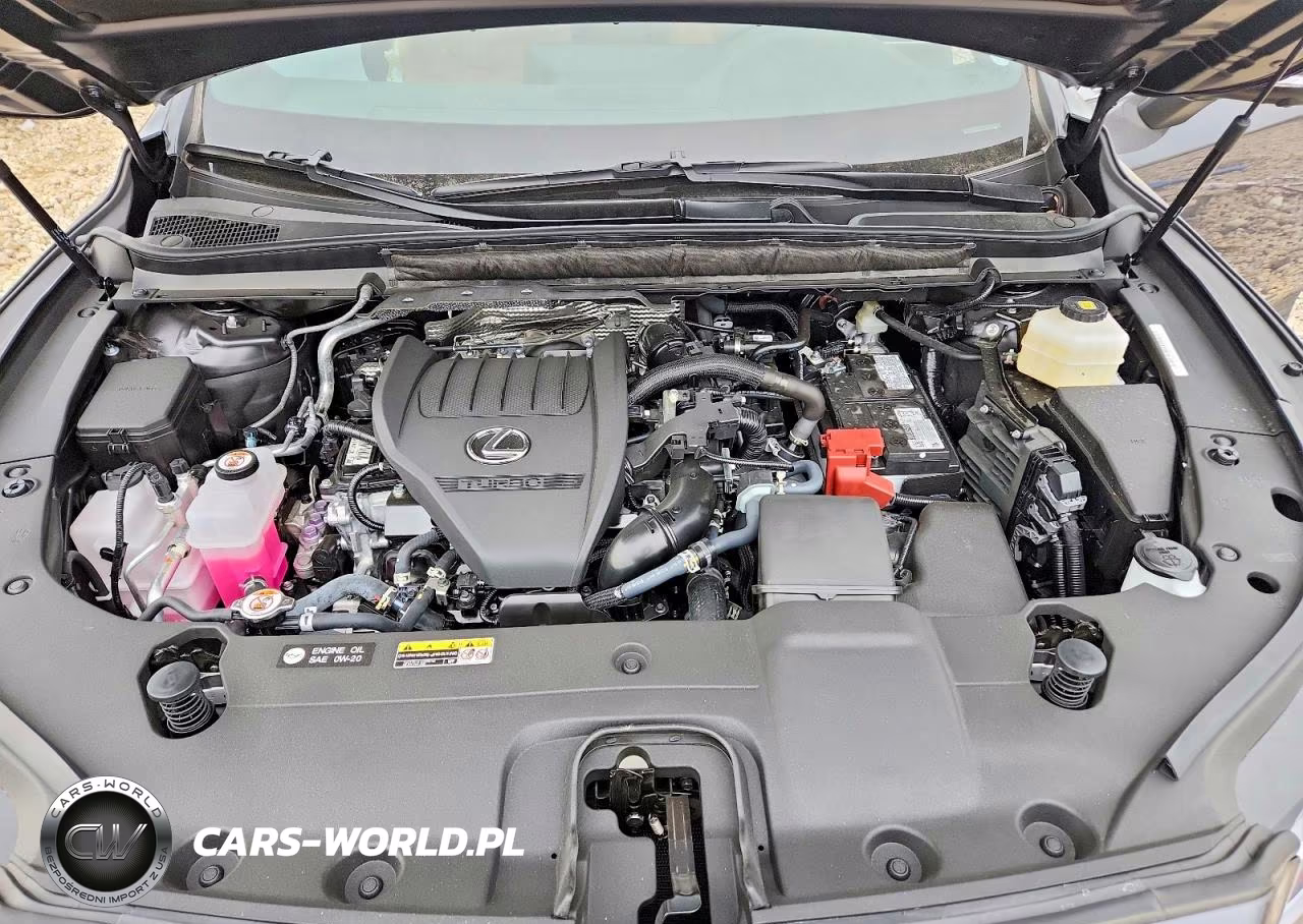 2025 Lexus Rx 350 Premium VIN:2T2BAMCA3SC119800 - 12