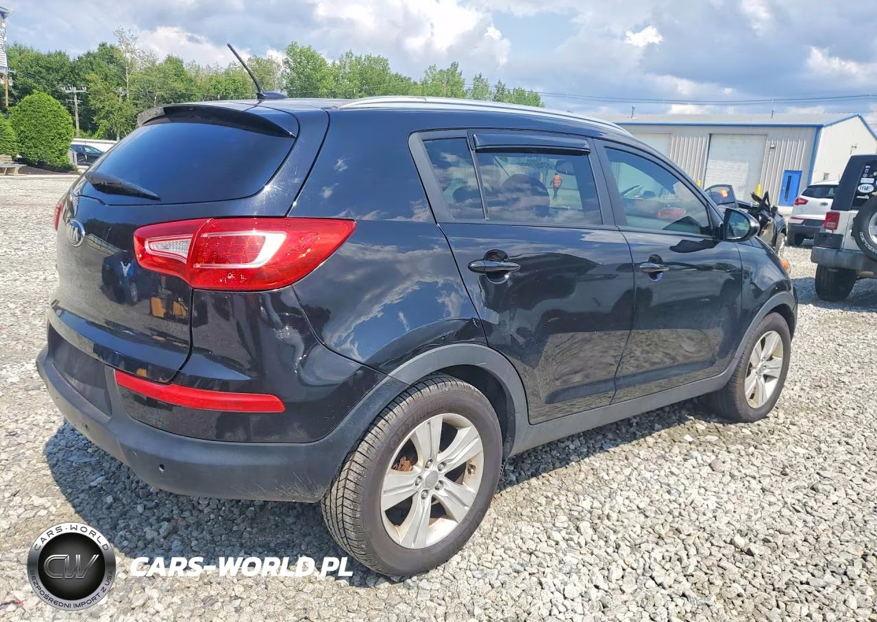 2011 Kia Sportage Lx VIN:KNDPBCA29B7101591 - 3