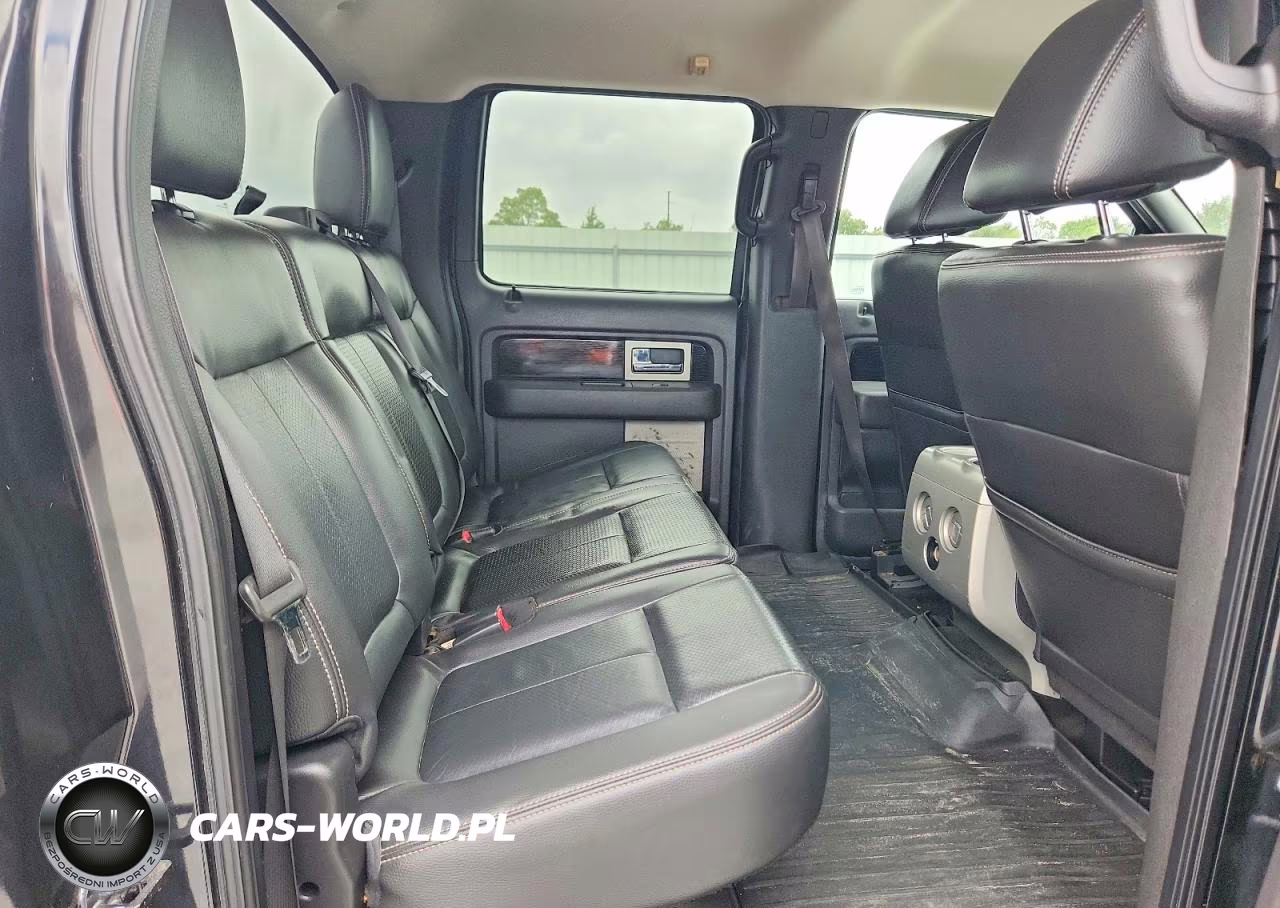 2010 Ford F150 Supercrew VIN:1FTFW1CV6AKE59173 - 10