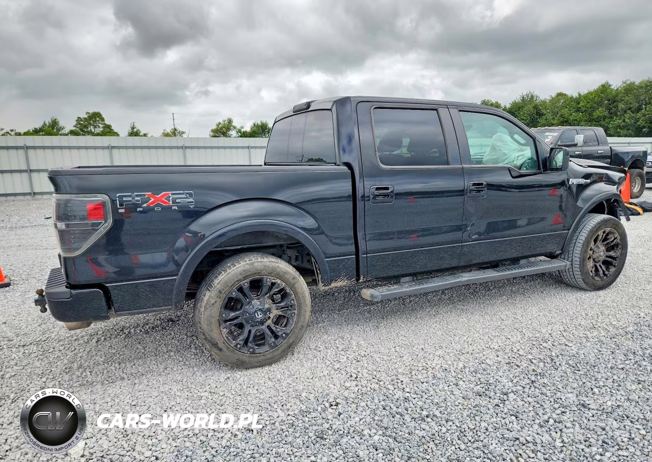 2010 Ford F150 Supercrew VIN:1FTFW1CV6AKE59173 - 3