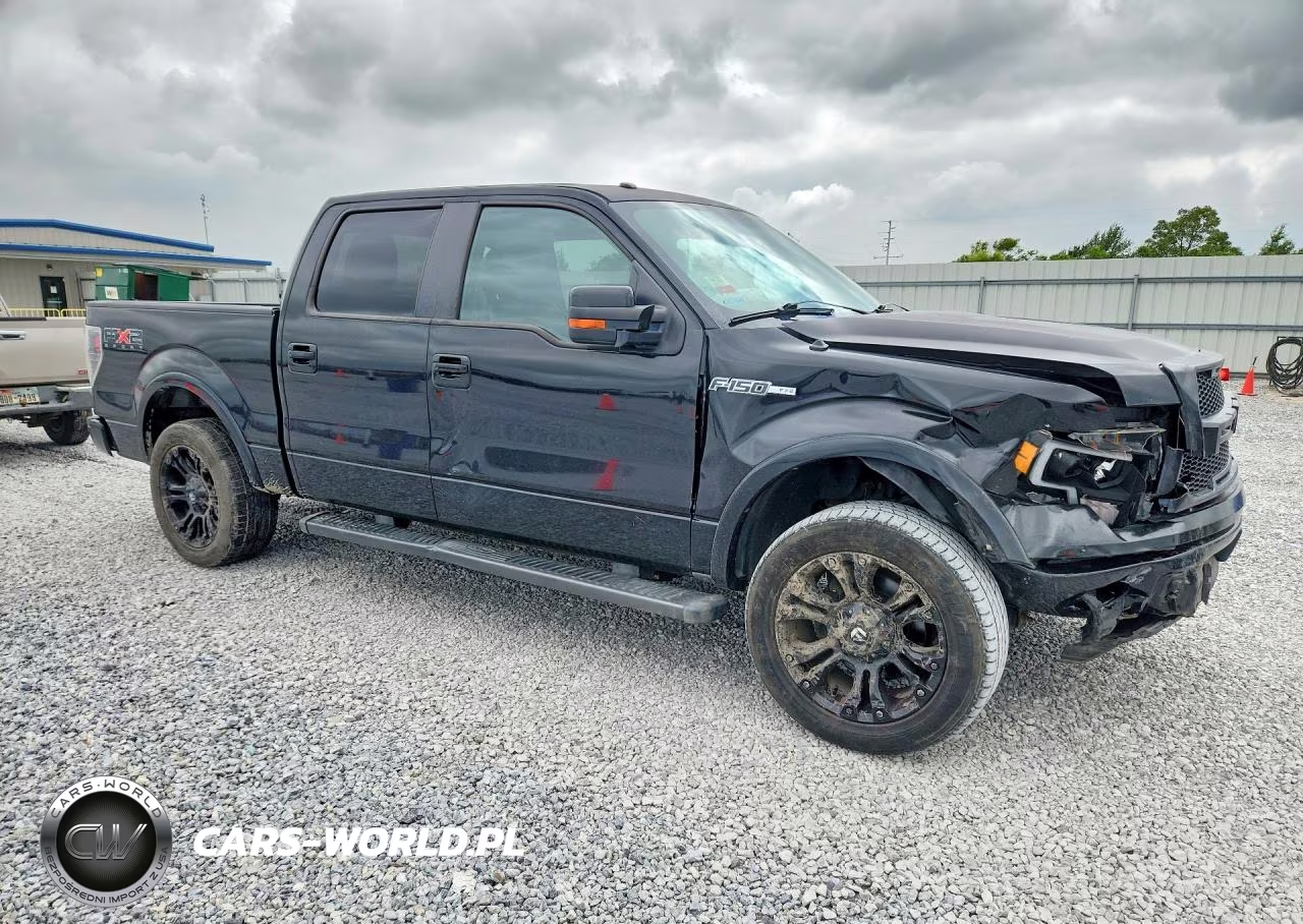 2010 Ford F150 Supercrew VIN:1FTFW1CV6AKE59173 - 4