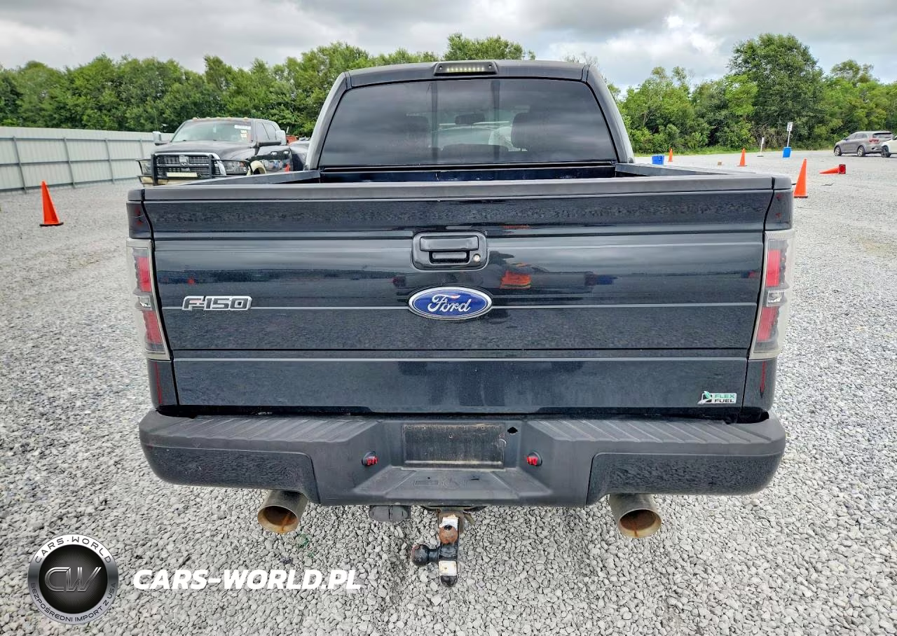 2010 Ford F150 Supercrew VIN:1FTFW1CV6AKE59173 - 6