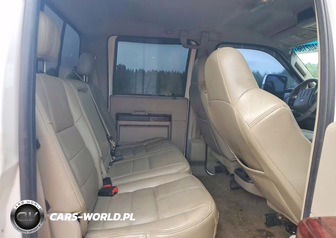 2009 Ford F250 Super Duty VIN:1FTSW21R19EA81848 - 10