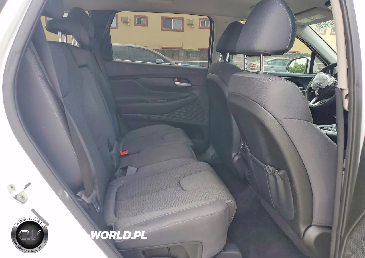 2022 Hyundai Santa Fe Sel VIN:5NMS24AJ3NH481791 - 10
