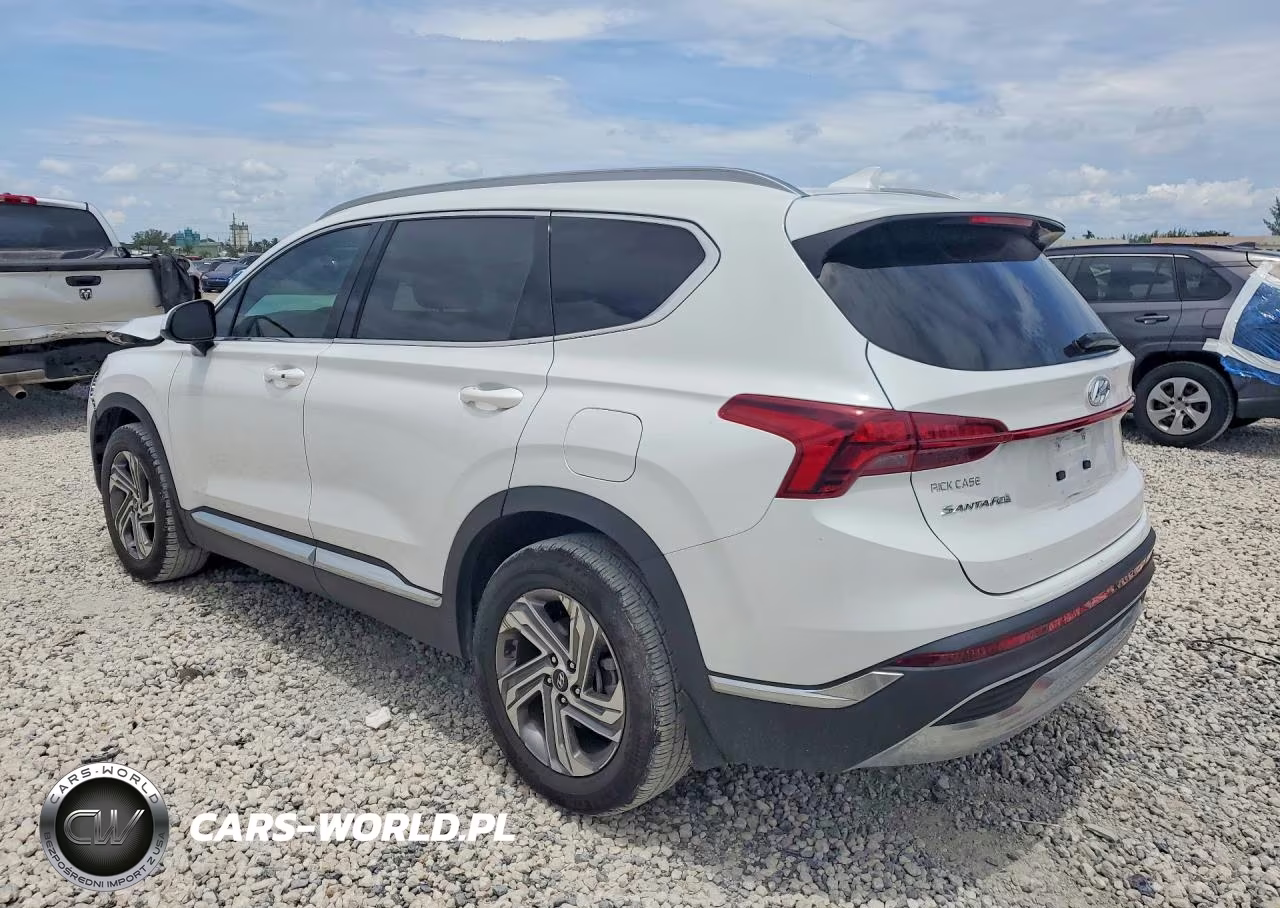 2022 Hyundai Santa Fe Sel VIN:5NMS24AJ3NH481791 - 2