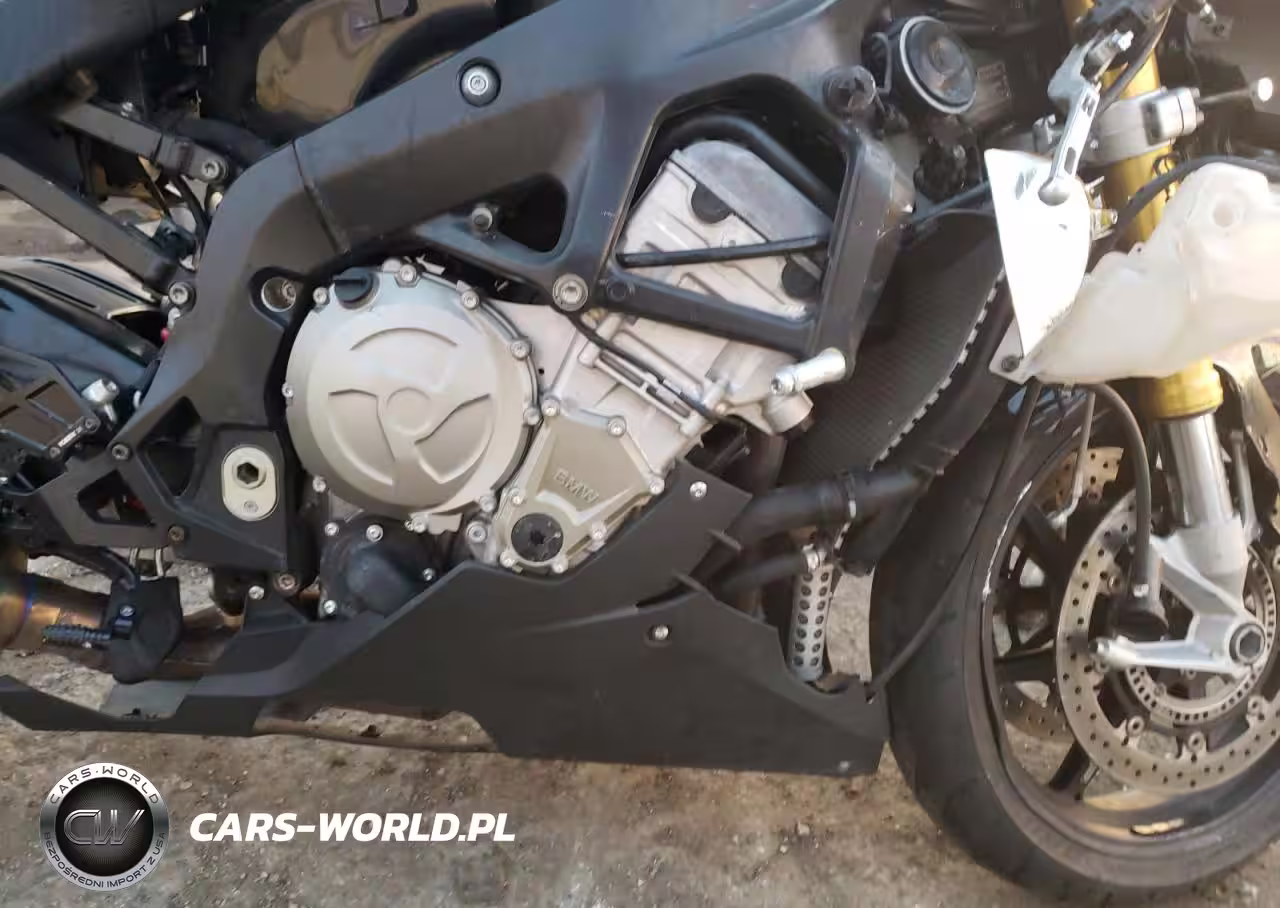 2016 BMW S 1000 Rr VIN:WB10D2106GZ353960 - 7