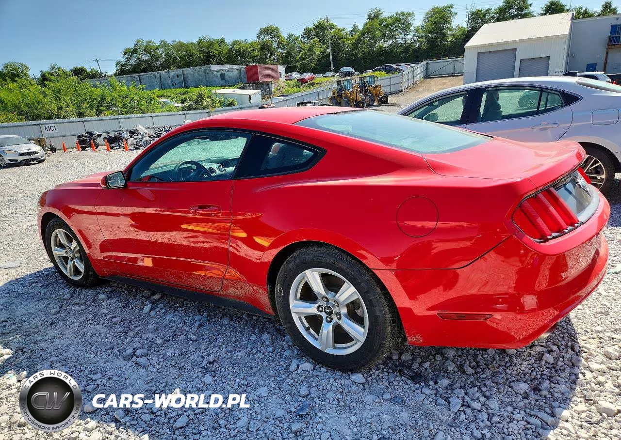 2015 Ford Mustang VIN:1FA6P8AM3F5348835 - 2