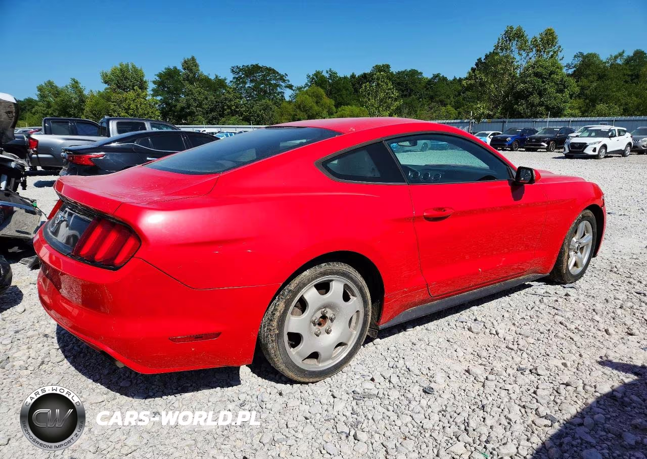 2015 Ford Mustang VIN:1FA6P8AM3F5348835 - 3