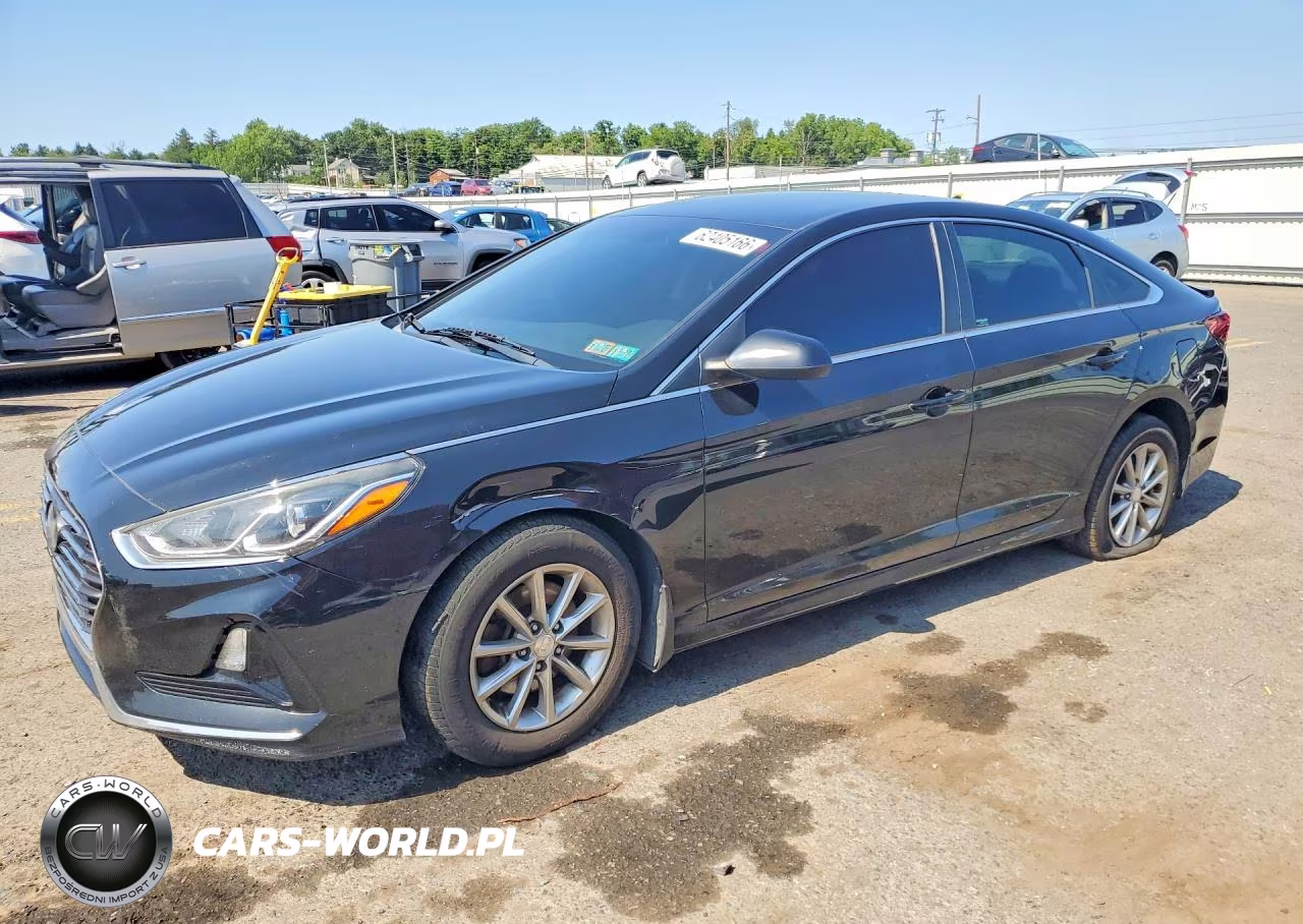 2019 Hyundai Sonata Se VIN:5NPE24AF3KH801604 - 1