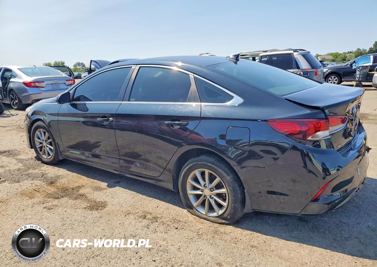 2019 Hyundai Sonata Se VIN:5NPE24AF3KH801604 - 2