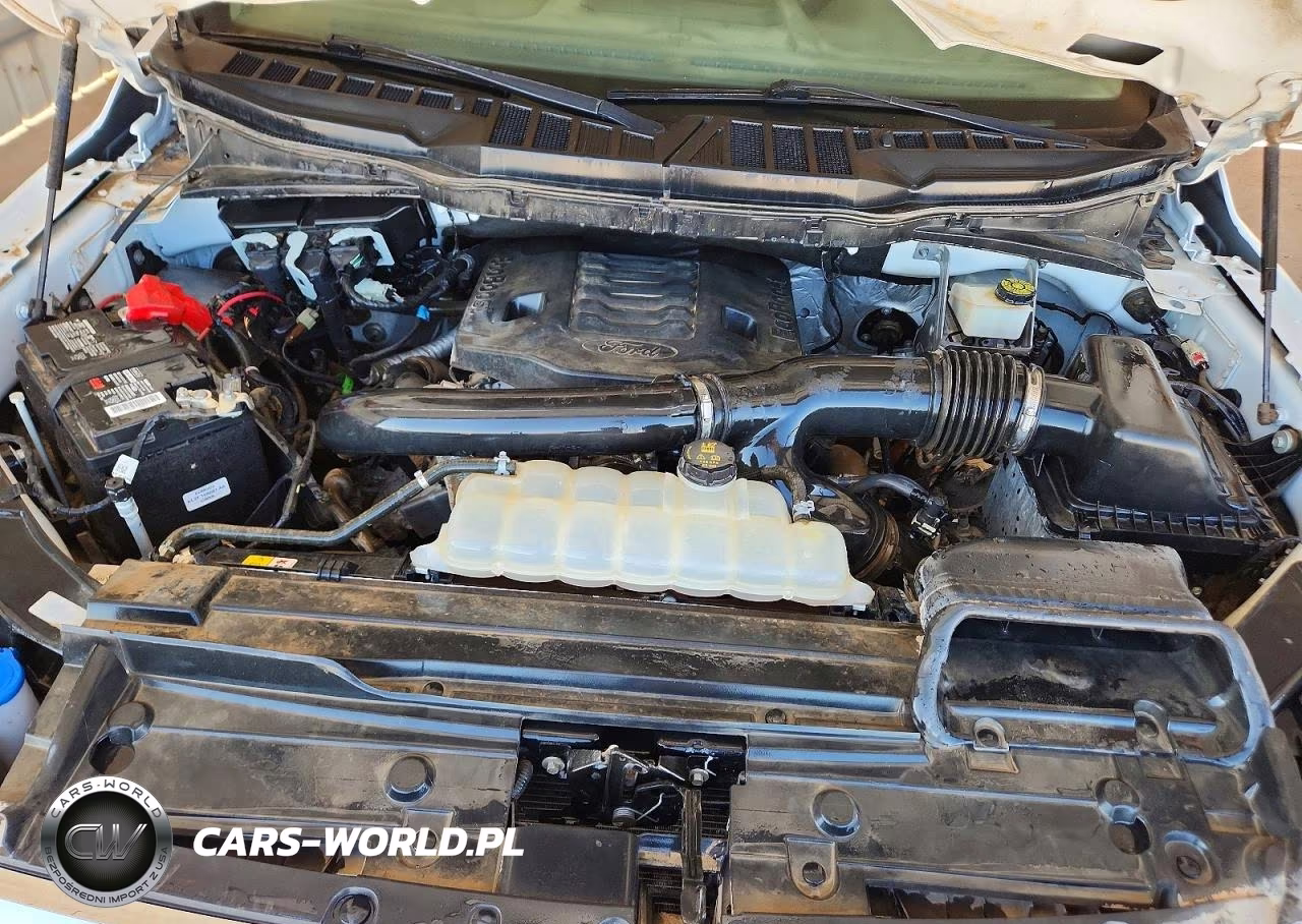 2023 Ford F150 Supercrew VIN:1FTFW1E85PKE00499 - 11