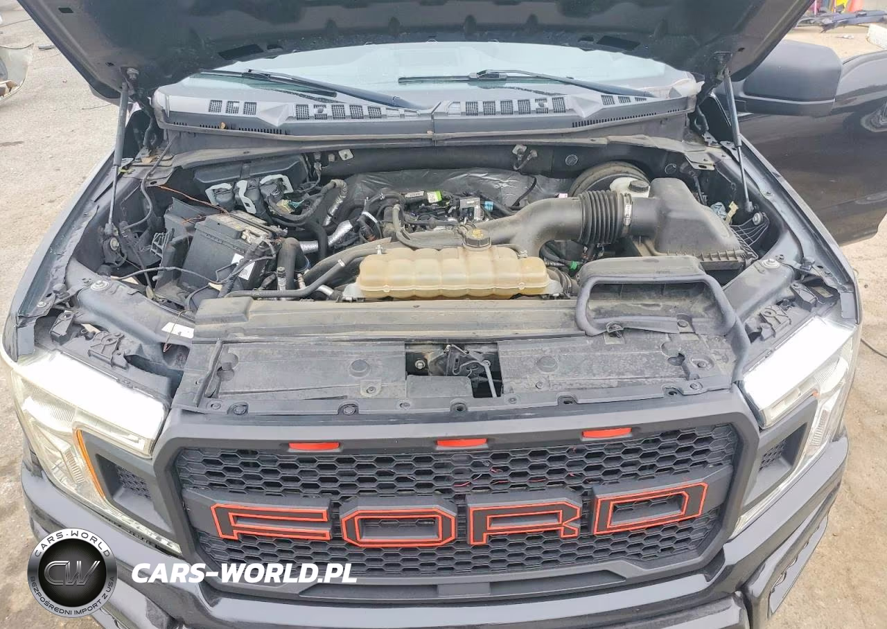 2019 Ford F150 Supercrew VIN:1FTEW1CPXKFC23245 - 11