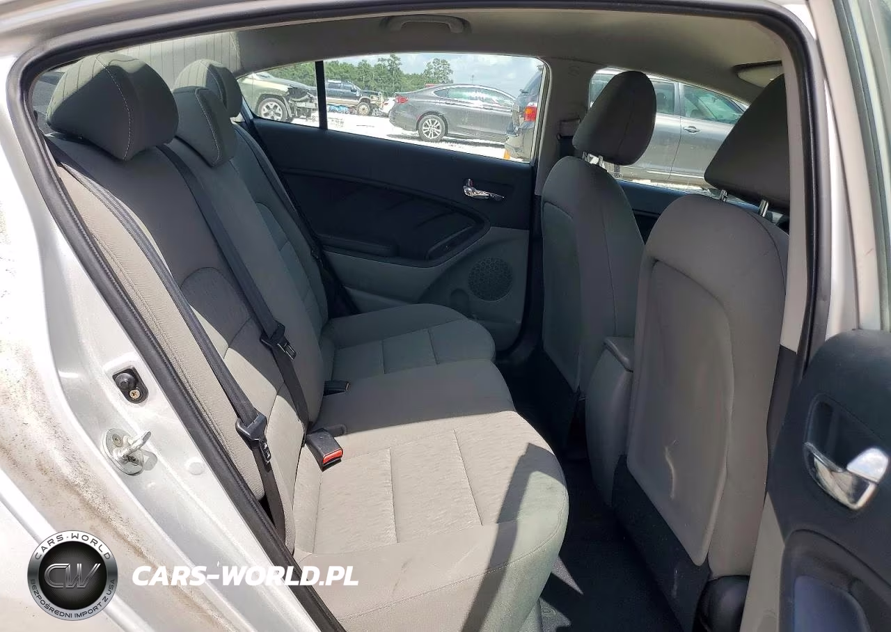 2015 Kia Forte Lx VIN:KNAFK4A69F5260632 - 10