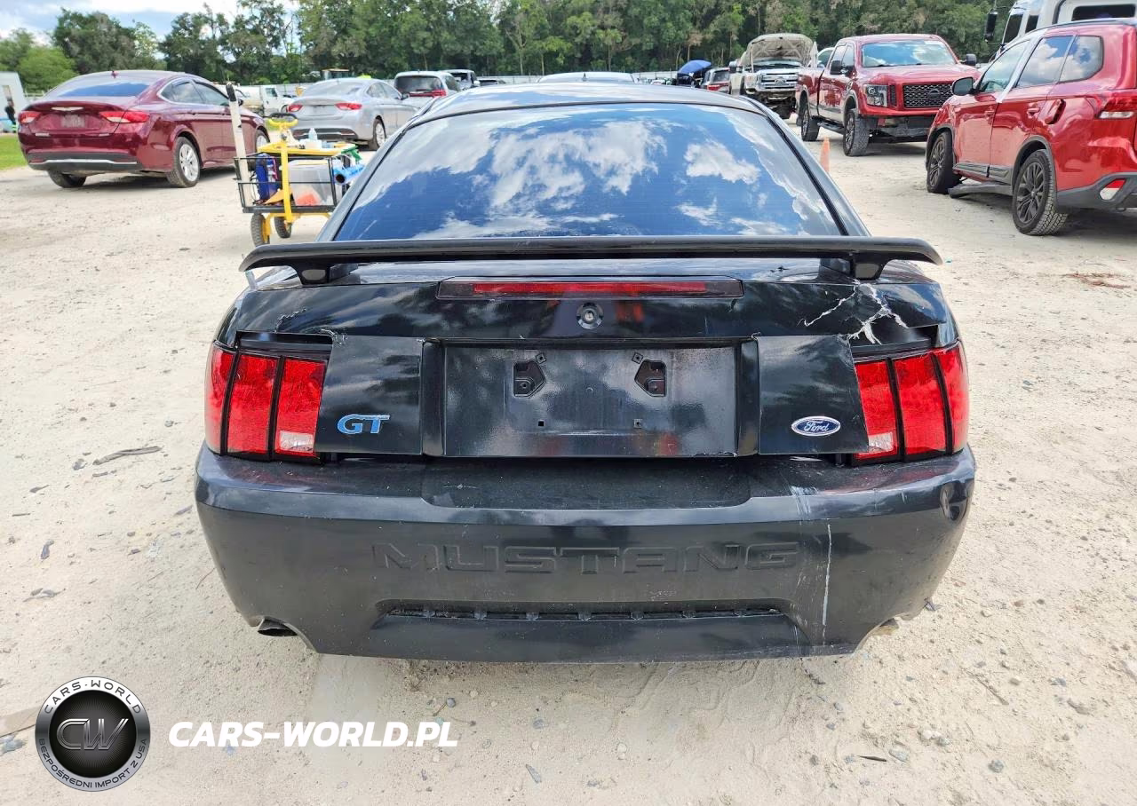 2003 Ford Mustang Gt VIN:1FAFP42X63F330790 - 6