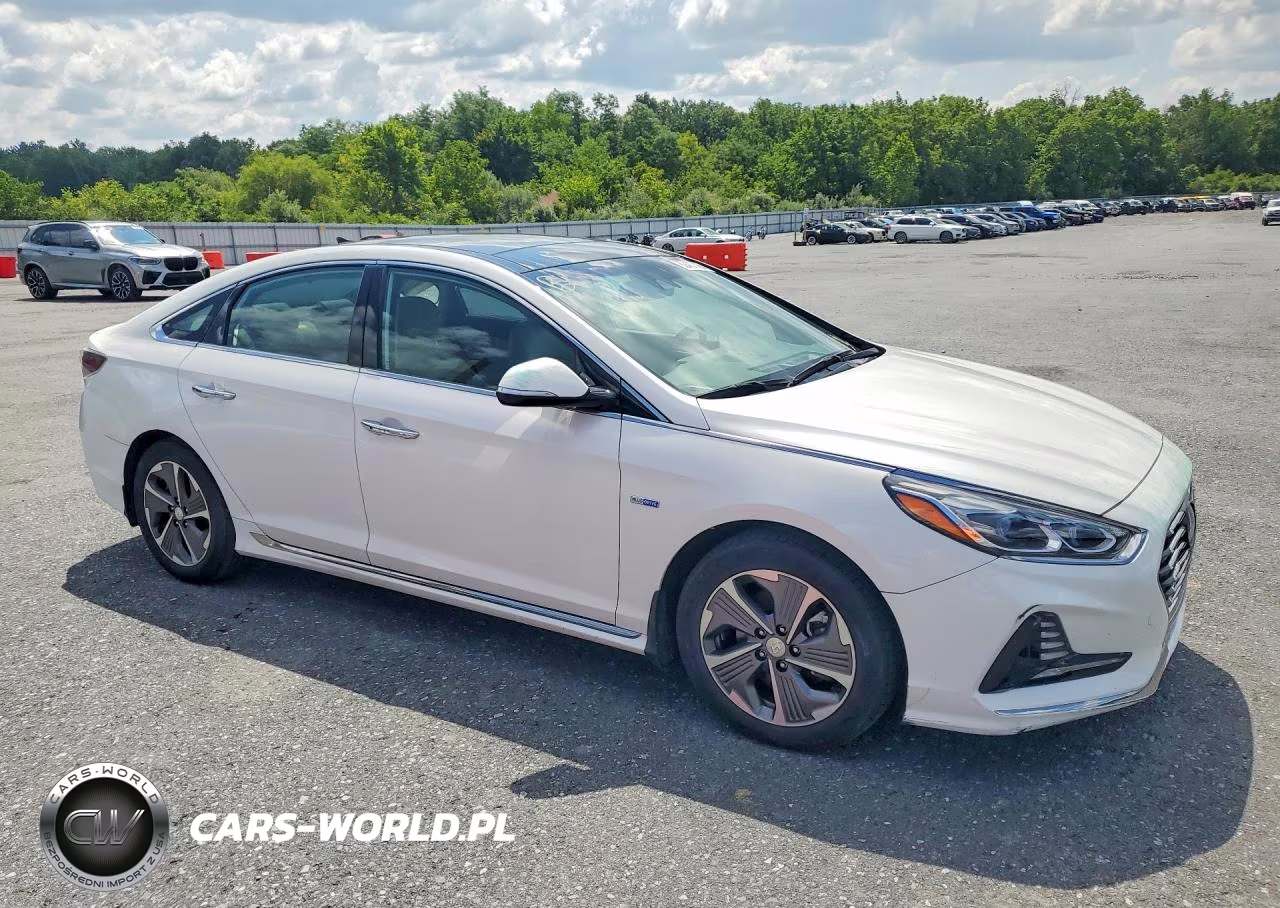 2019 Hyundai Sonata Hybrid Limited VIN:KMHE34L35KA087901 - 4