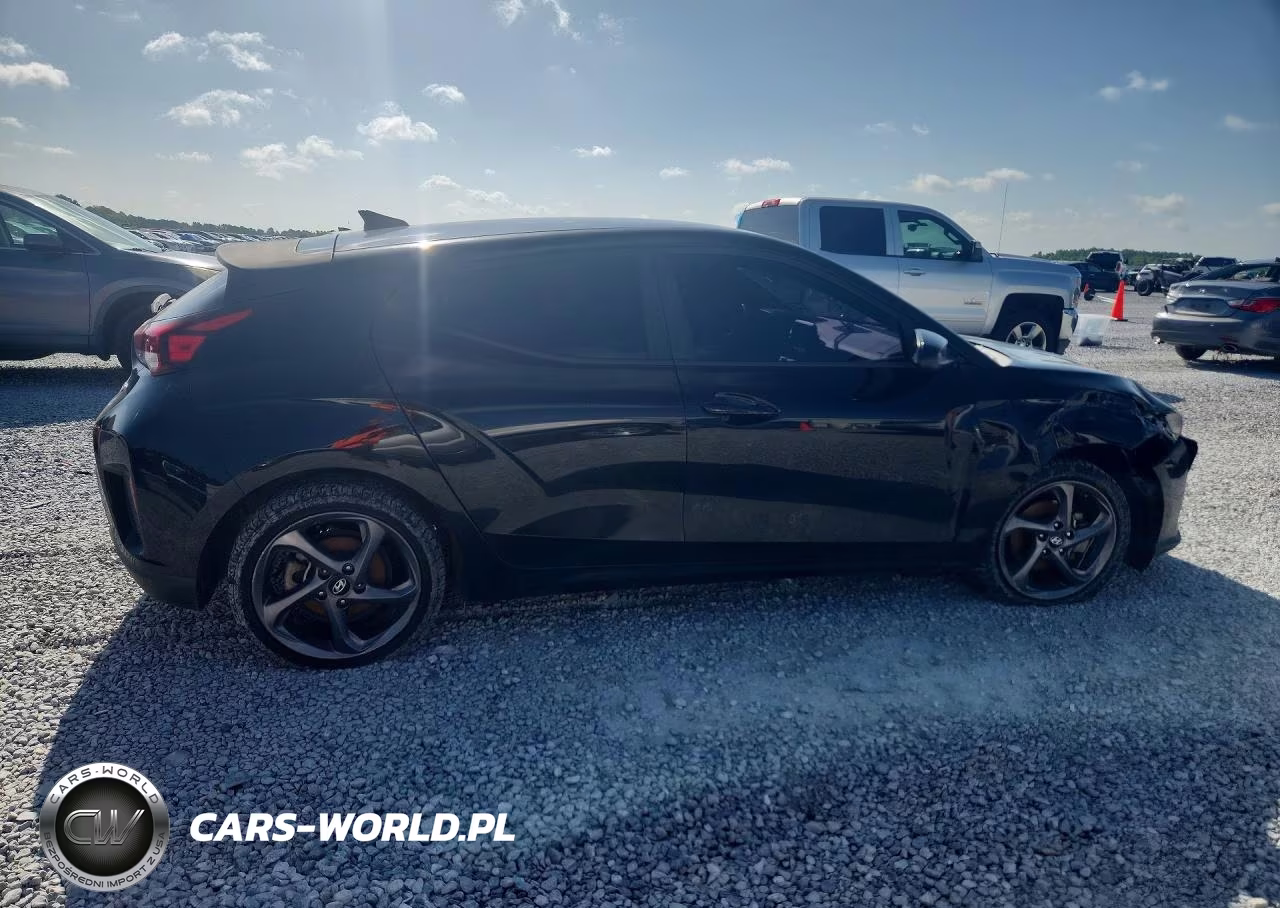 2019 Hyundai Veloster 2.0L VIN:KMHTG6AF5KU016619 - 3